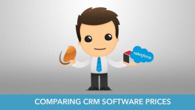 CRM software cost
